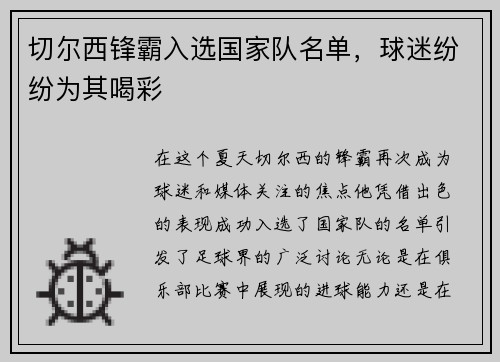 切尔西锋霸入选国家队名单，球迷纷纷为其喝彩