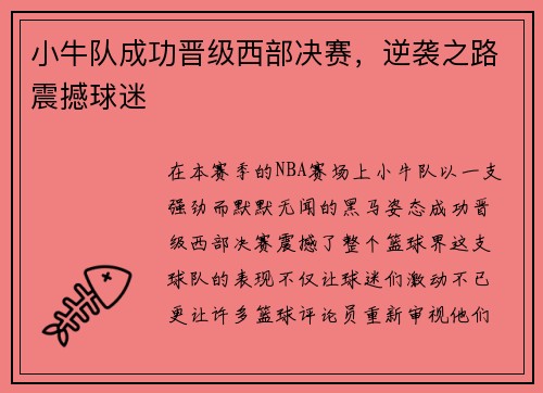 小牛队成功晋级西部决赛，逆袭之路震撼球迷