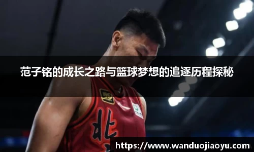 77体育官网